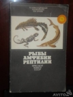 Рыбы амфибии рептилии красной книги СССР