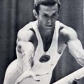 Воронин Михаил Яковлевич  - российский спортсмен, гимнаст