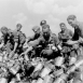 Группа гитлеровских солдат, захвативших в качестве трофея партию советских консервов