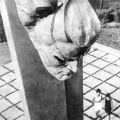 Фрагмент памятника летчикам героям  81-го авиаполка, повторившим подвиг Гастелло