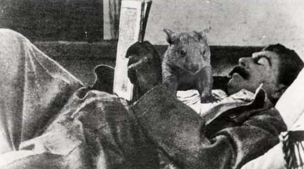 Фото: Сталин отдыхает на Ближней даче, 1939 год