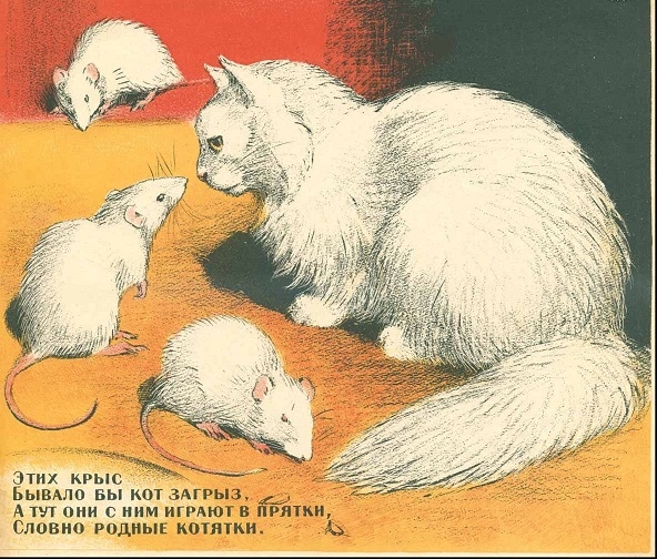 Фото: Иллюстрация художника В. Ватагина к книге Уголок дедушки Дурова 1926