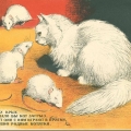 Иллюстрация художника В. Ватагина к книге Уголок дедушки Дурова 1926