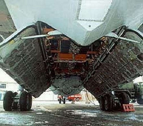 Фото: Грузоподъемность многоцелевого самолета-амфибии Альбатрос почти 100000кг.