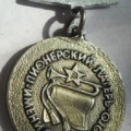 Медаль за заслуги в пионерлагере им. Олега Кошевого