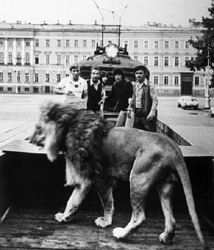 Фото: Кадр из фильма с участием льва Кинга. Невероятные приключения итальянцев в России