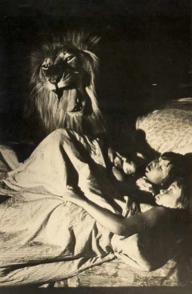 Фото: Лев Кинг охраняет сон детей. 1972 год