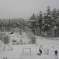 Предновогодняя традиция в СССР - выбить ковер на снегу