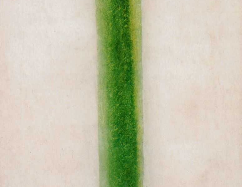 Фото: Первая картина в коллекции Георгия Костаки. Зеленая полоса Ольги Розановой.