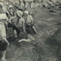 Юннаты на море.1935 год