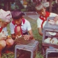 Юные натуралисты в пионерском лагере.1976 год