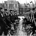 Собаки-саперы - участники парада Победы в Москве 1945 года. Во время войны они спасли тысячи жизней