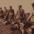 Собаки на службе Отечеству.1942