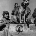 Экипаж советского бронеавтомобиля БА-10 и овчарка Джульбарс. Южный фронт. 1943