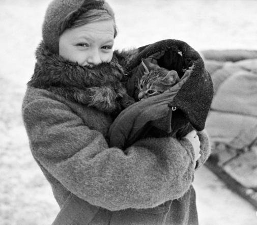 Фото: Коты блокадного Ленинграда