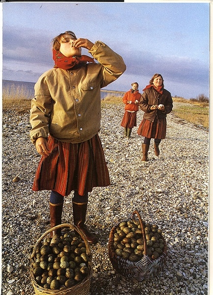 Фото: Один день из жизни СССР. Д. Файнрид (США) девочки из Прибалтики собирают яйца чаек