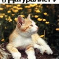 Любимый журнал советских детей - Юный натуралист.