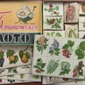 Советская настольная игра лото Ботаническое