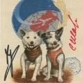 Собаки, совершившие орбитальный полет с возвращением на Землю - Белка и Стрелка