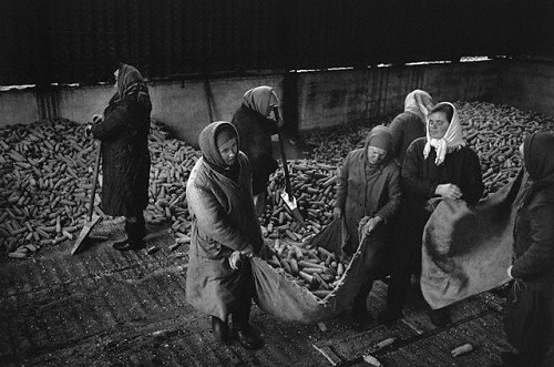 Фото: Сбор урожая. СССР. 1947 год