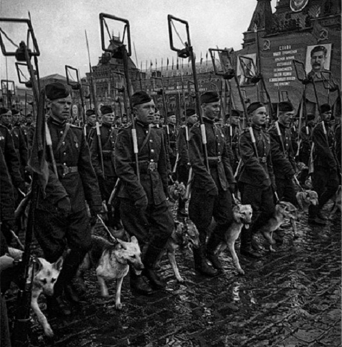 Фото: На параде Победы.1945