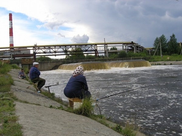 Фото: Рыбалка на зараженной реке Теча