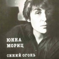 Обложка книги стихов Ю.Мориц