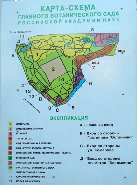 Фото: Карта Главного ботаническго сада в Москве