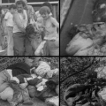 Февраль 1988 года. Сумгаит
