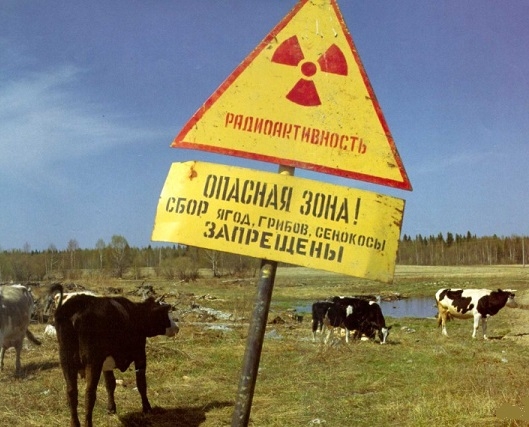 Фото: Пастбище вблизи места Кыштымской аварии 1957 года. Село Муслюмово.