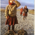 Один день из жизни СССР. Д. Файнрид (США) девочки из Прибалтики собирают яйца чаек