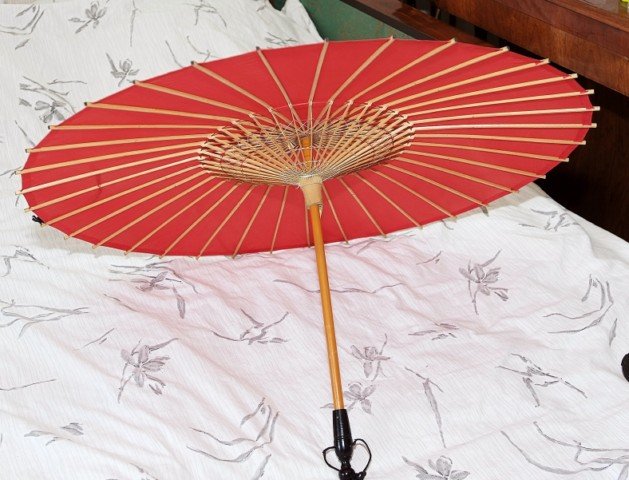 Фото: Китайский зонтик