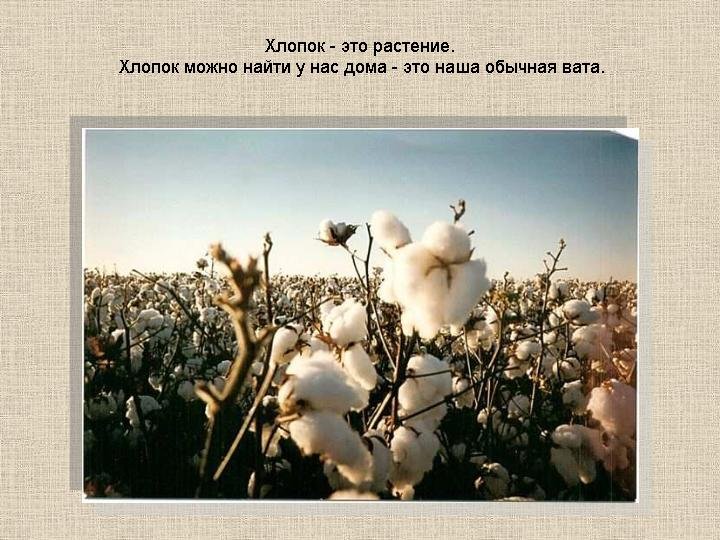 Фото: Мы повернем реки вспять ради поддержания хлопководства