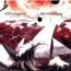 Обложка альбома рок-группы Агата Кристи. Два корабля