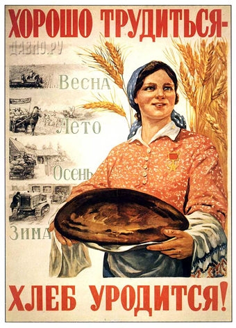 Фото: Хлеб уродится